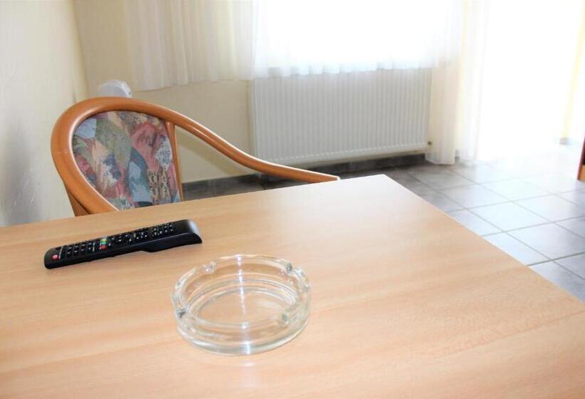 Одноместный Номер с Террасой, America