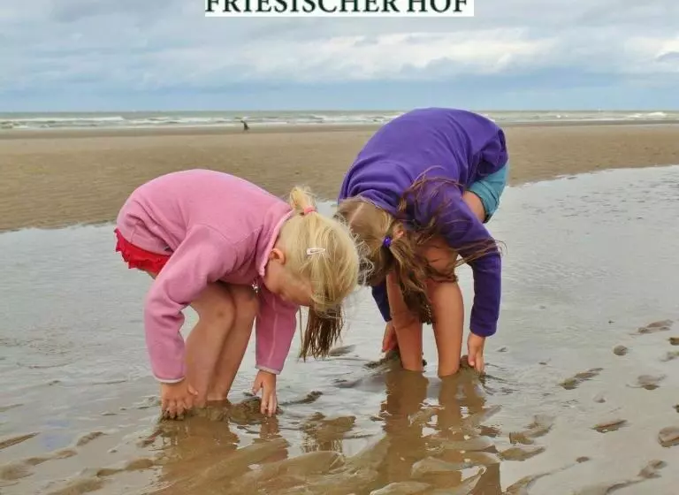 １ベッドルームのデラックスアパートメント, Friesischer Hof