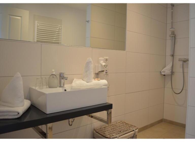 شقة ديلوكس غرفة واحدة, Friesischer Hof