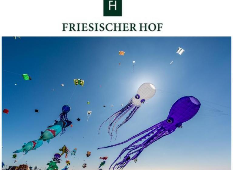 شقة سوبريور غرفة واحدة, Friesischer Hof