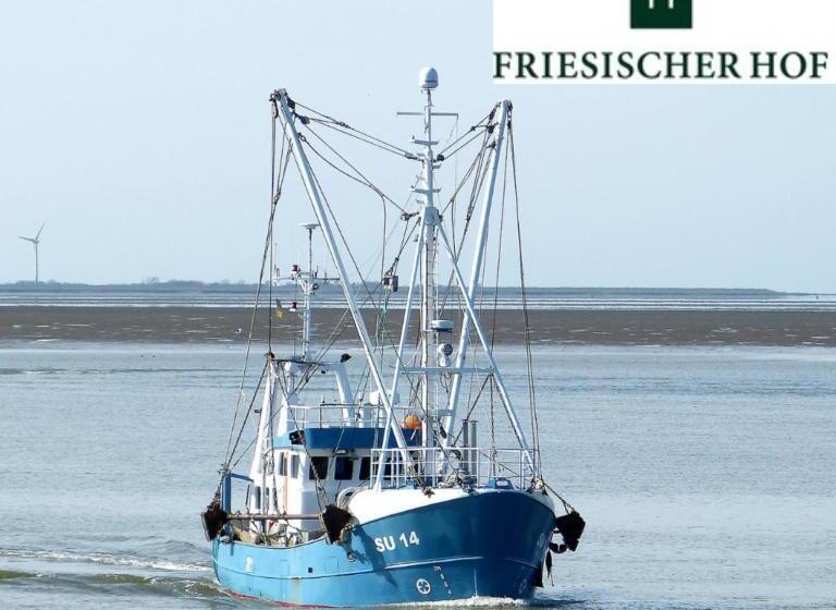Апартаменты 3 Спальни, Friesischer Hof