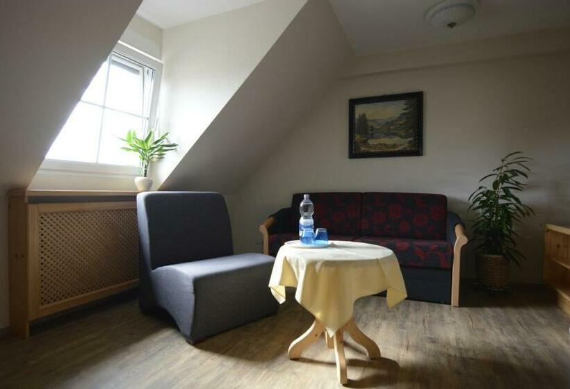 חדר סטנדרט, Gasthaus Elsäßer Hof