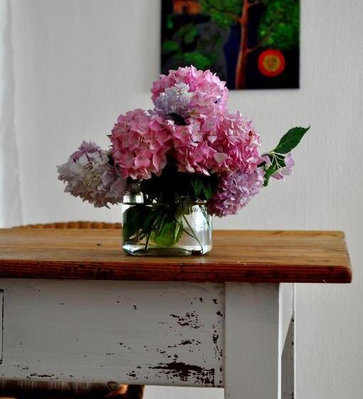 Apartamento 1 Dormitório Vista Jardim, Haus & Hof Guest House