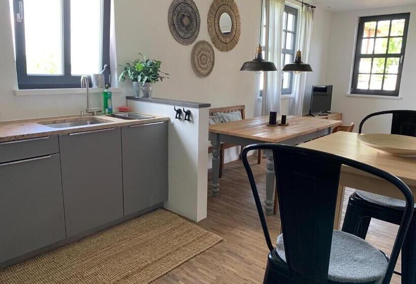 Apartamento 1 Dormitório com Terraço, Haus & Hof Guest House