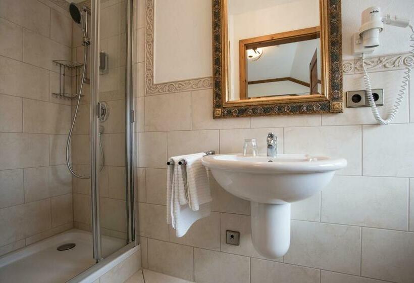 Quarto Economy Individual, Meiser Rosenstuben