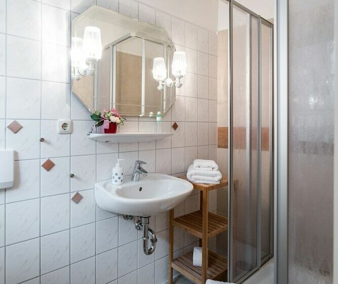 スタンダードシングルルーム, Pension Seba