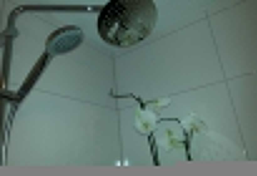 클래식 싱글 룸, Zum Berggarten