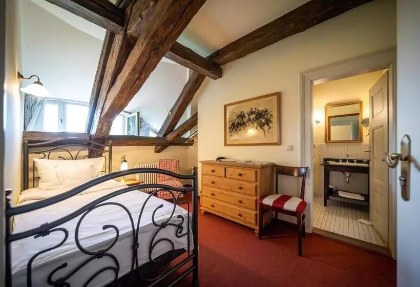 エコノミーシングルルーム, Romantik Hotel Gutshaus Ludorf