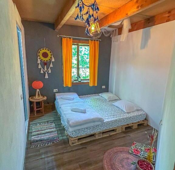 اتاق استاندارد, Cha Cha Backpackers