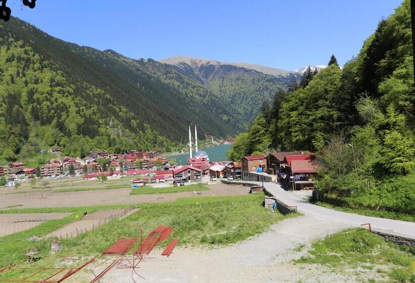 اتاق استاندارد سه نفره, Paradi̇se Lake