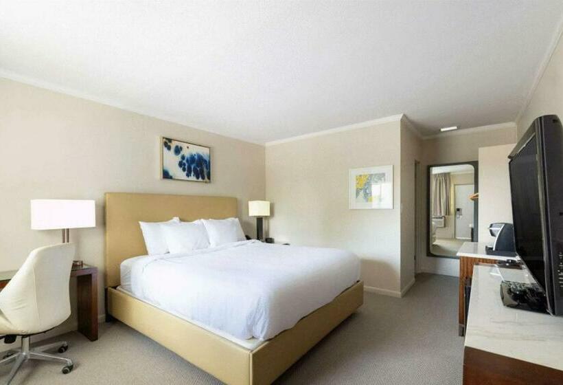 غرفة قياسية سرير كينج, Downtown Dover Inn