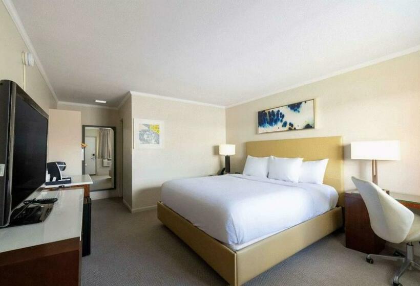 غرفة قياسية سرير كينج, Downtown Dover Inn