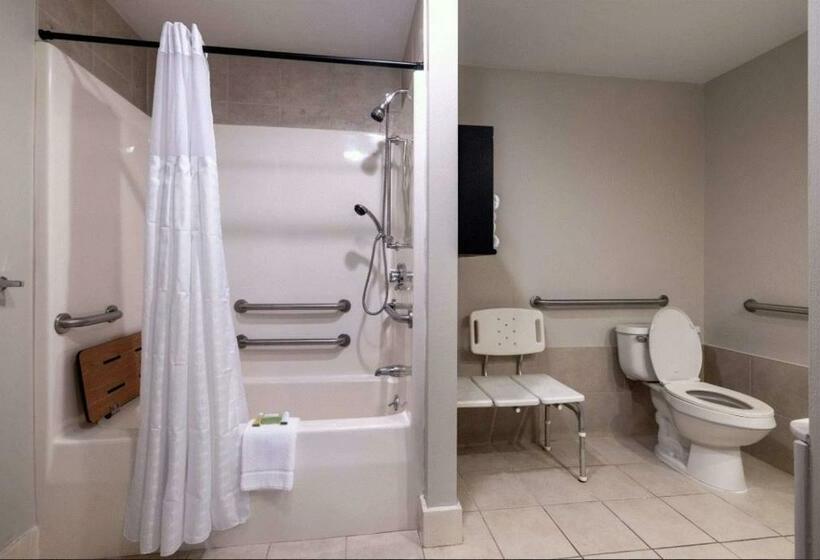 غرفة قياسية لذوى الاحتياجات الخاصة, Downtown Dover Inn