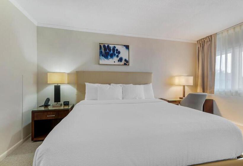 غرفة قياسية سرير كينج, Downtown Dover Inn