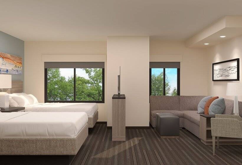 장애인을 위한 스탠다드 룸, Hyatt House Sacramento Airport   Natomas