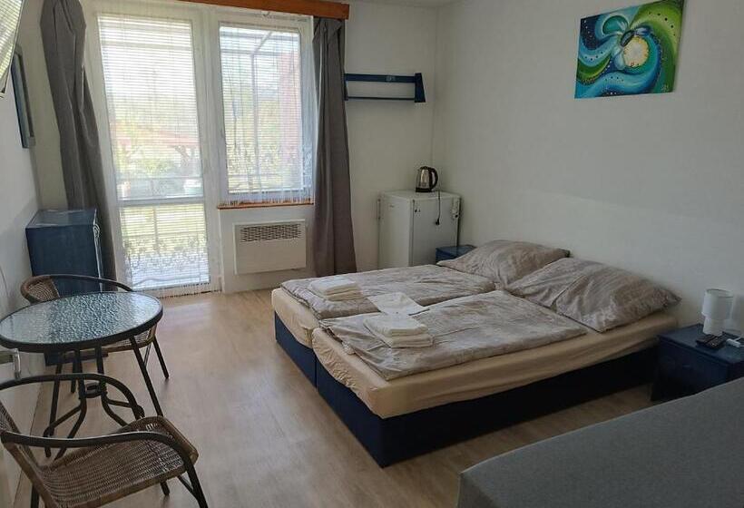 テラス付スタンダードルーム, Pension Hluboká