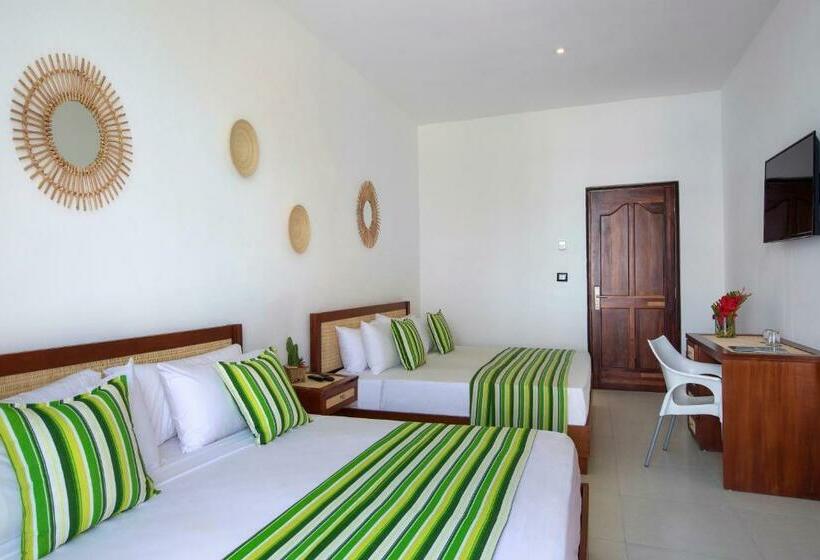 اتاق استاندارد, Hm Alma de Bayahibe - Adults Only