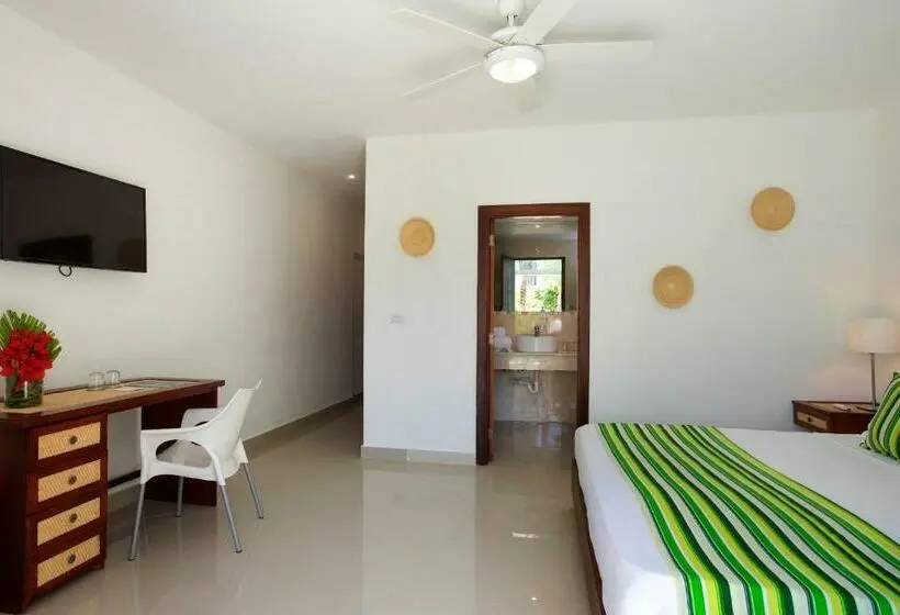 اتاق استاندارد, Hm Alma de Bayahibe - Adults Only