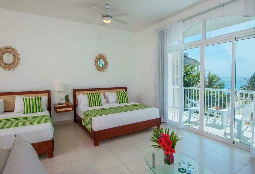 اتاق اساندارد با چشمانداز جانبی به دریا, Hm Alma de Bayahibe - Adults Only