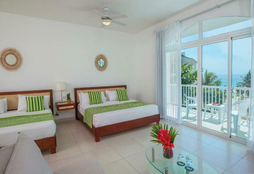 اتاق اساندارد با چشمانداز جانبی به دریا, Hm Alma de Bayahibe - Adults Only