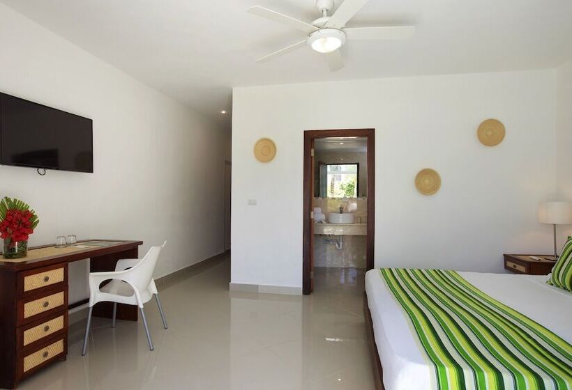 اتاق استاندارد, Hm Alma de Bayahibe - Adults Only