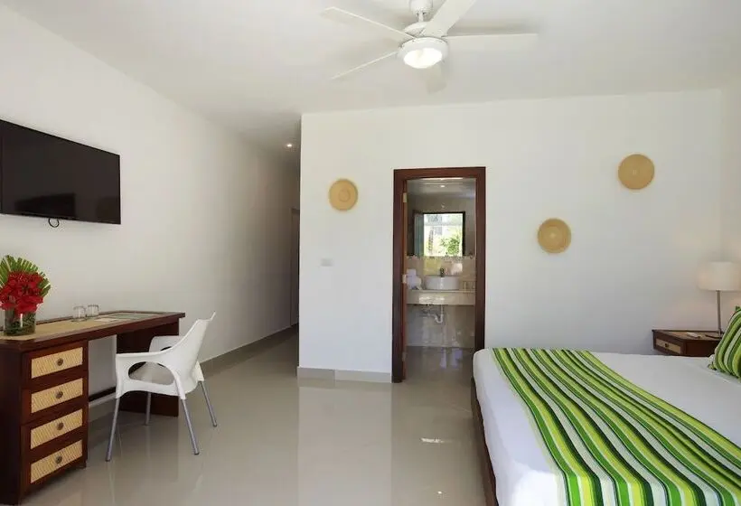 اتاق استاندارد, Hm Alma de Bayahibe - Adults Only