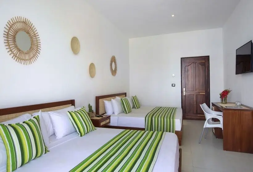 اتاق استاندارد, Hm Alma de Bayahibe - Adults Only