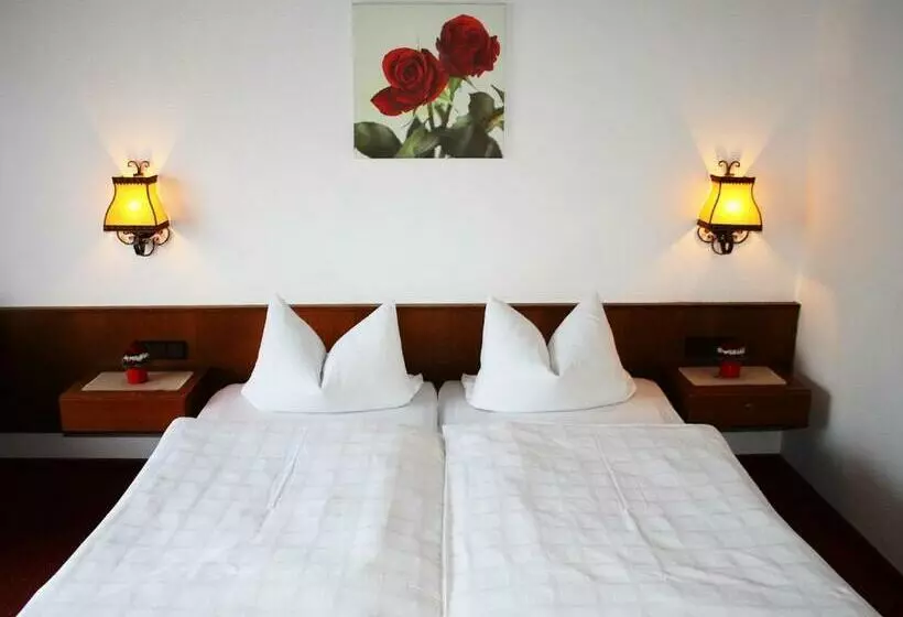 اتاق استاندارد, Gasthof Hotel Schwarzes Roß