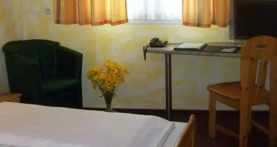 اتاق استاندارد یک نفره, Goldener Karpfen