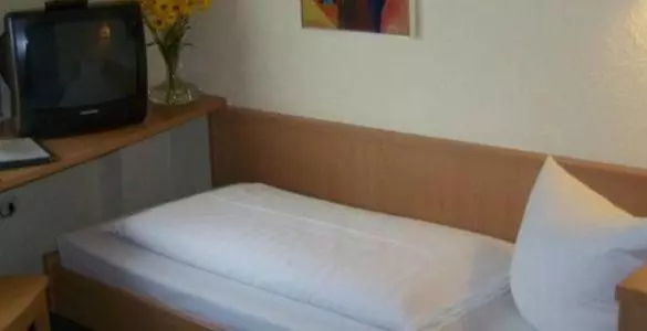 اتاق استاندارد یک نفره, Goldener Karpfen