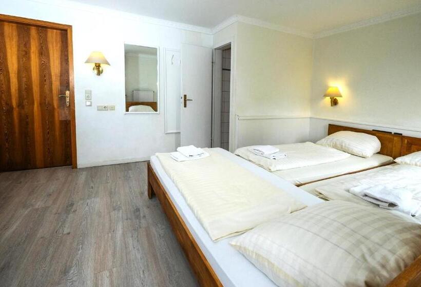 트리플 스탠다드 전망룸, Haus Am Walde