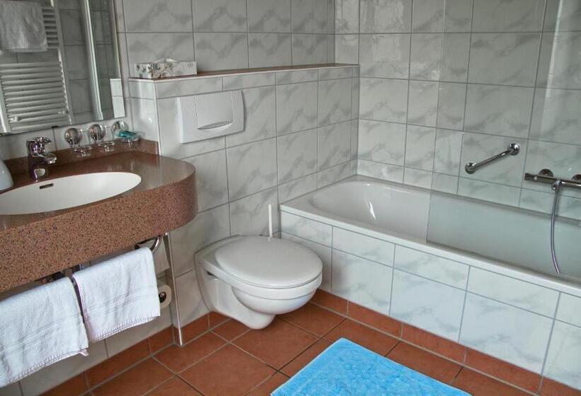 Номер Superior Одноместный, Krone