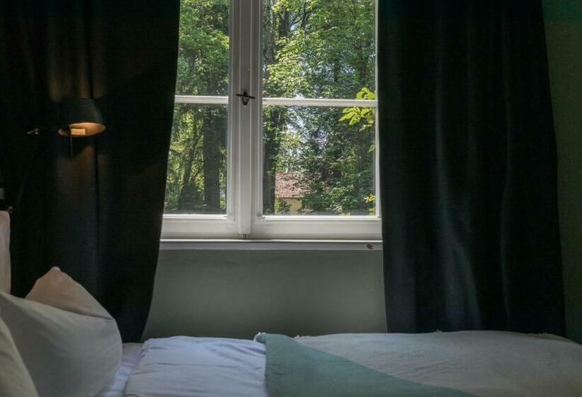 スタンダードルーム, Blyb