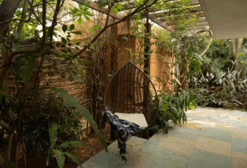 ファミリールーム, Orchid Tree Wellness Retreat