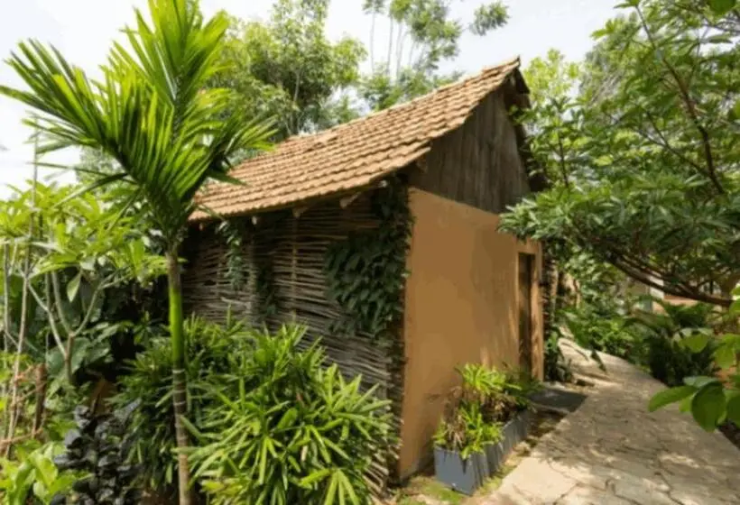 キングサイズベッドのスーペリアルーム, Orchid Tree Wellness Retreat