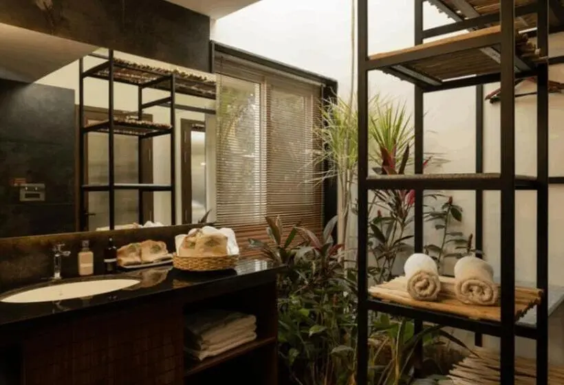 スーペリアールーム, Orchid Tree Wellness Retreat