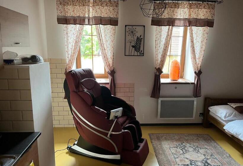 デラックススタジオ, Apart Pension Zelený Grunt