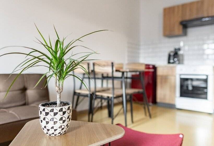 デラックススタジオ, Apart Pension Zelený Grunt