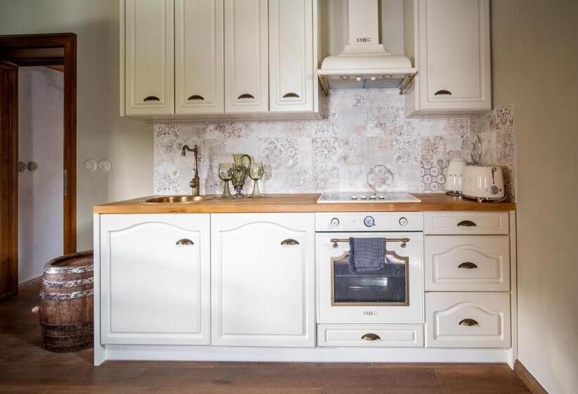 Апартаменты Дюплекс 1 Спальня, Hrad Kunzov Boutique Hotel & Spa & Restaurant