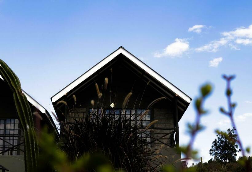 اتاق لوکس با تخت بزرگ, Outback Kenya Lodge