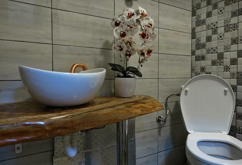 침실 4개 주택, Cabana Codrii Maramuresului