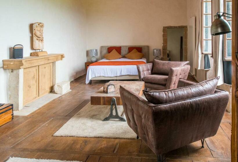 شقة سوبريور غرفة واحدة, Château Beyrin