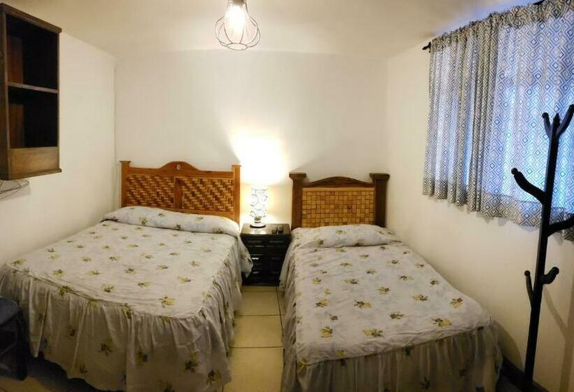 غرفة قياسية, Farah Sultepec