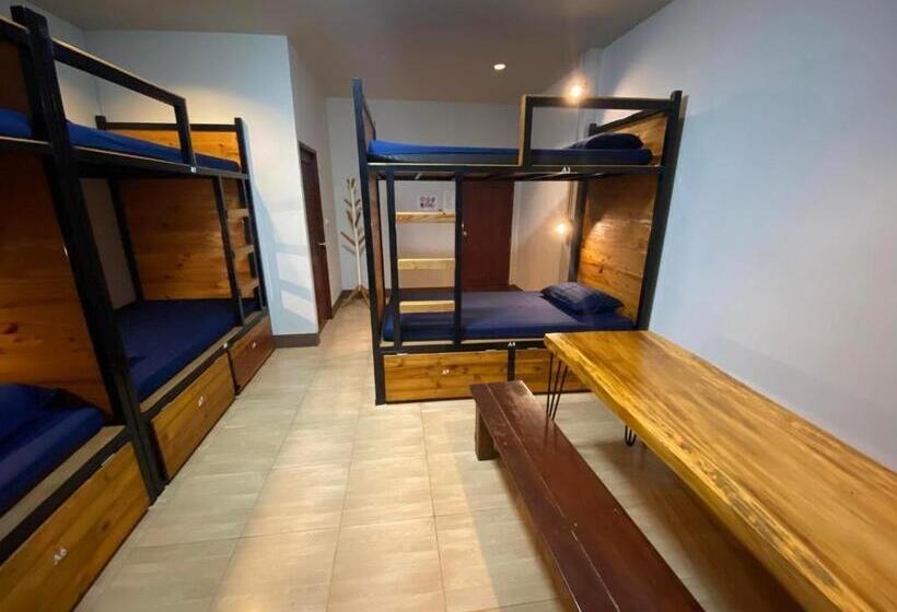 מיטה בחדר משותף, Eq Hostel