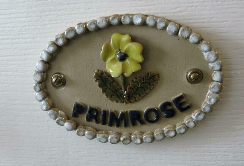 اتاق عادی, Avondale Guest House