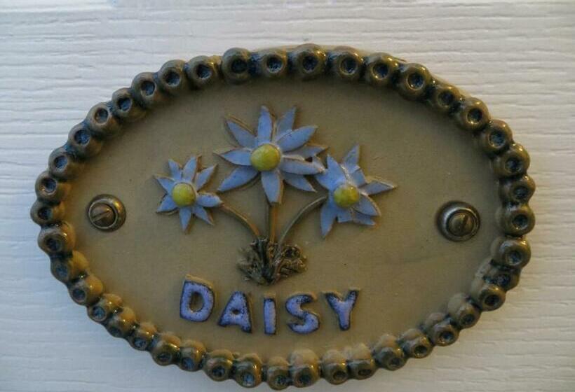 اتاق استاندارد یک نفره, Avondale Guest House