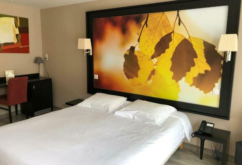 غرفة كلاسيكية, Logis L Hôtel D Arc