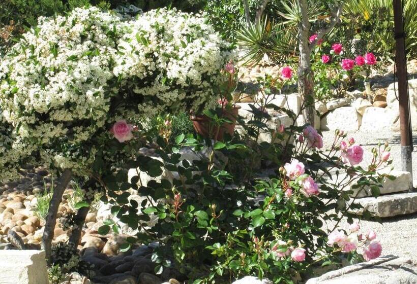 غرفة قياسية, Le Mas Vieux