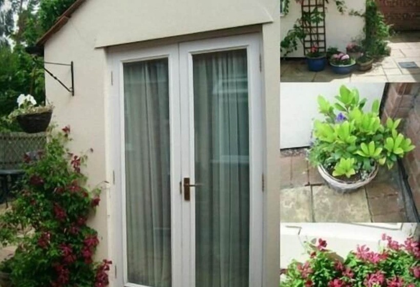 غرفة قياسية فردية, Rosa S Bed And Breakfast