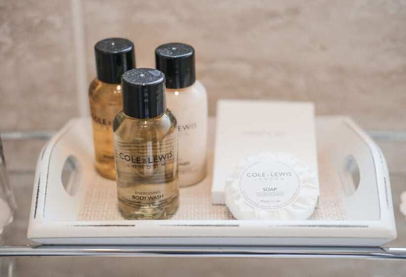 スタンダードルーム, Swan